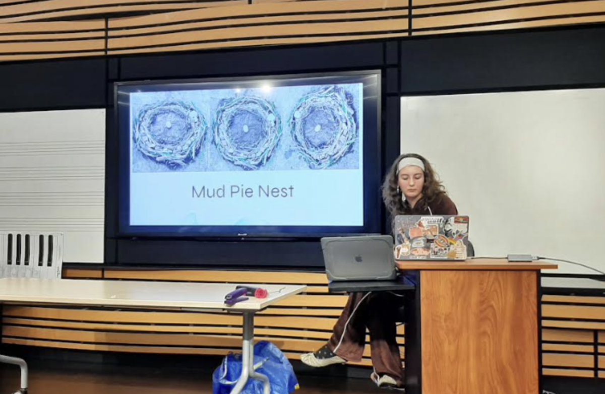 Cleo Kaphan showcases her mud pie nests, which were some of her natural art pieces she created for her project.